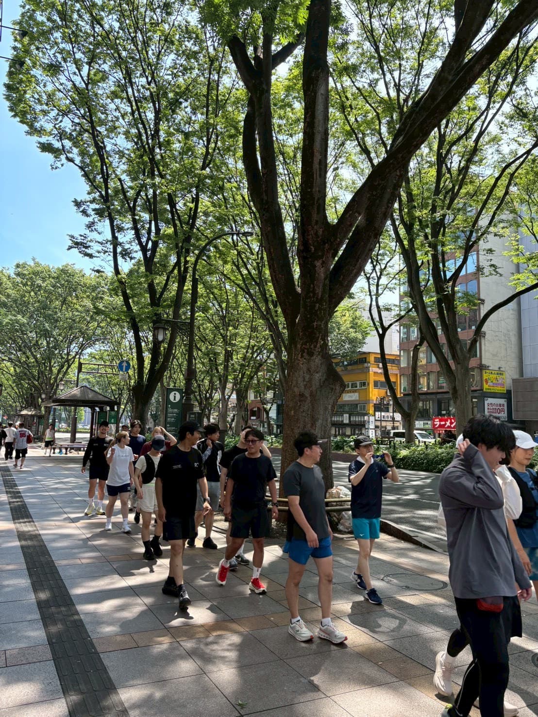 朝を、走りではじめる。